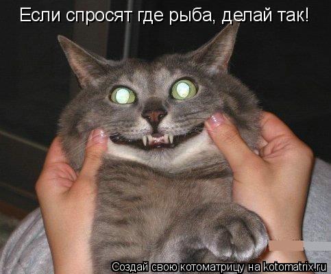 Если спросят где рыба, делай так!... Котоматрица: Если спросят где рыба, делай так!