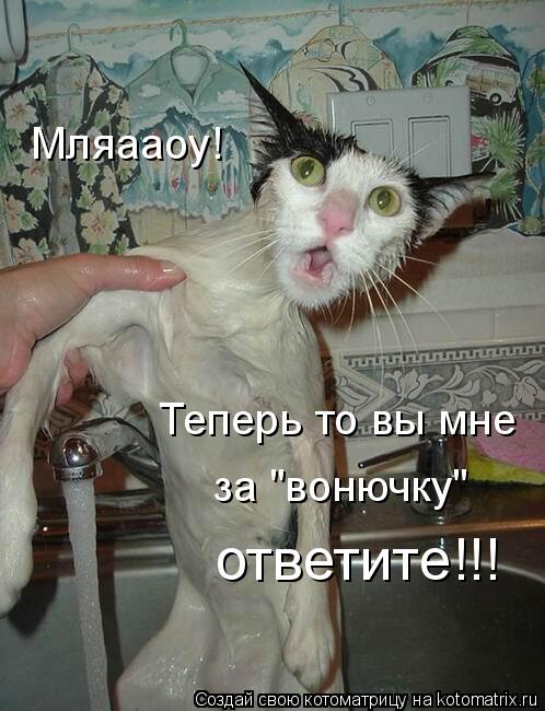 Мляааоу! Теперь то вы мне за "вонючку" ответите!!!... Котоматрица: Мляааоу! Теперь то вы мне за "вонючку" ответите!!!