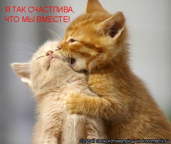 Я ТАК СЧАСТЛИВА, ЧТО МЫ ВМЕСТЕ!... Котоматрица: Я ТАК СЧАСТЛИВА, ЧТО МЫ ВМЕСТЕ!