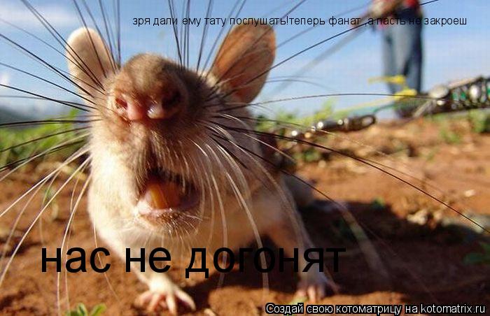 нас не догонят зря дали ему тату послушать!теперь фанат ,а пасть не закроеш... Котоматрица: нас не догонят зря дали ему тату послушать!теперь фанат ,а пасть не закроеш