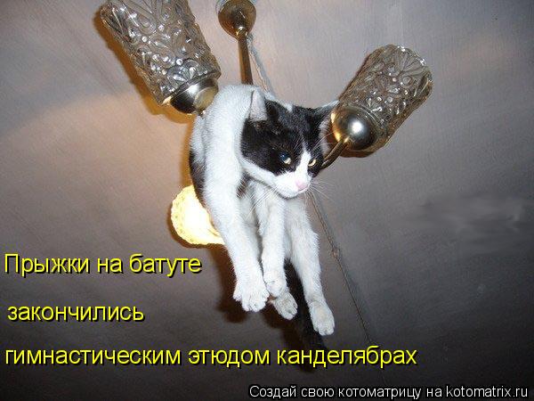 Прыжки на батуте закончились гимнастическим этюдом канделябрах... Котоматрица: Прыжки на батуте закончились гимнастическим этюдом канделябрах