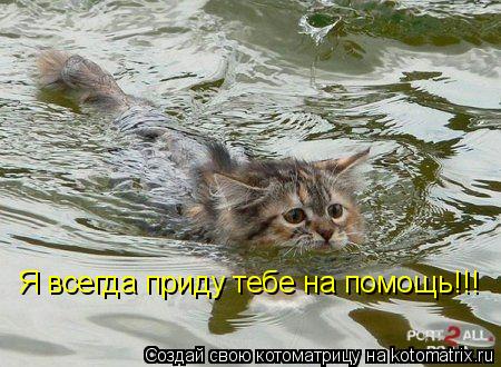 Я всегда приду тебе на помощь!!!... Котоматрица: Я всегда приду тебе на помощь!!!