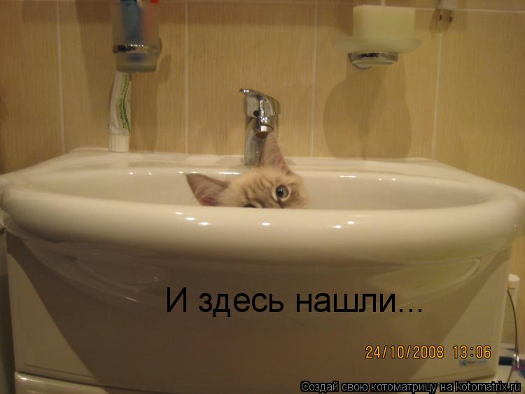 И здесь нашли...... Котоматрица: И здесь нашли...