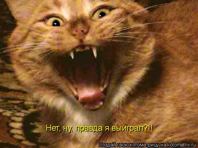 Нет, ну, правда я выиграл?!!... Котоматрица: Нет, ну, правда я выиграл?!!