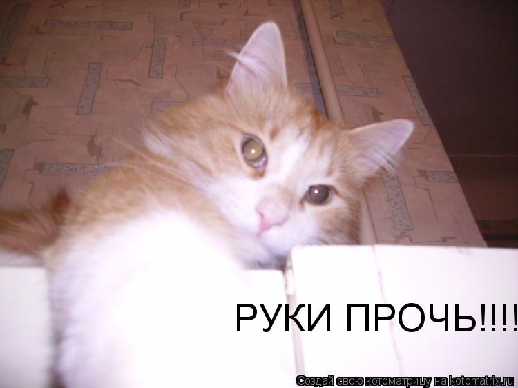 РУКИ ПРОЧЬ!!!!!!!!!!... Котоматрица: РУКИ ПРОЧЬ!!!!!!!!!!