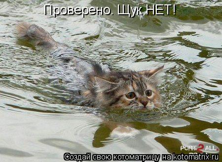 Проверено. Щук НЕТ!... Котоматрица: Проверено. Щук НЕТ!