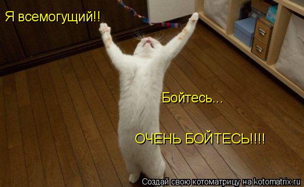 Я всемогущий!! Бойтесь... ОЧЕНЬ БОЙТЕСЬ!!!!... Котоматрица: Я всемогущий!! Бойтесь... ОЧЕНЬ БОЙТЕСЬ!!!!