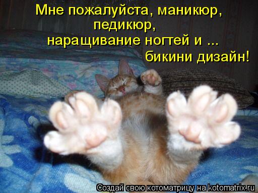 Мне пожалуйста, маникюр, педикюр, наращивание ногтей и ... бикини дизайн!... Котоматрица: Мне пожалуйста, маникюр, педикюр, наращивание ногтей и ... бикини дизайн!