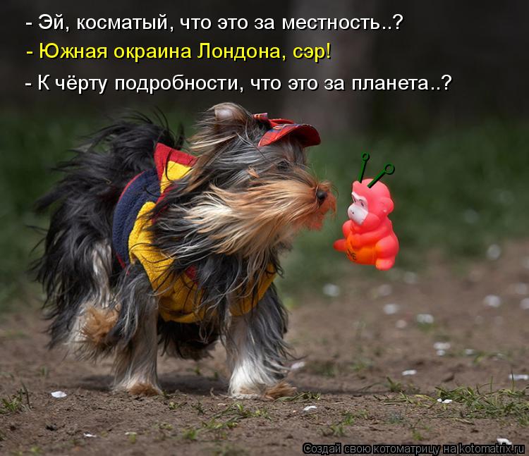 / о О - Южная окраина Лондона, сэр! - Эй, косматый, что это за местность..? - К чёрту подробности... Котоматрица: / о О - Южная окраина Лондона, сэр! - Эй, косматый, что это за местность..? - К чёрту подробности, что это за планета..?