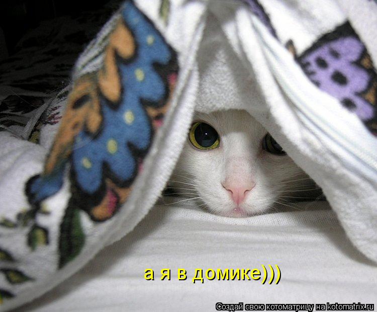 а я в домике)))... Котоматрица: а я в домике)))