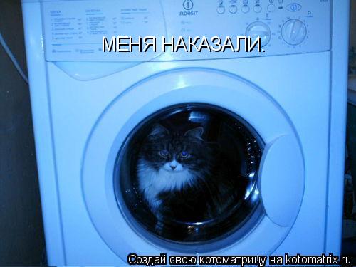 МЕНЯ НАКАЗАЛИ.... Котоматрица: МЕНЯ НАКАЗАЛИ.