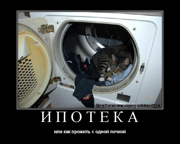 Ипотека или как прожить с одной почкой... Котоматрица: Ипотека или как прожить с одной почкой