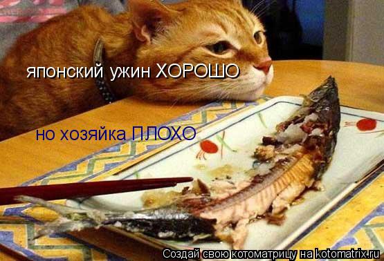 японский ужин ХОРОШО но хозяйка ПЛОХО но хозяйка ПЛОХО... Котоматрица: японский ужин ХОРОШО но хозяйка ПЛОХО но хозяйка ПЛОХО