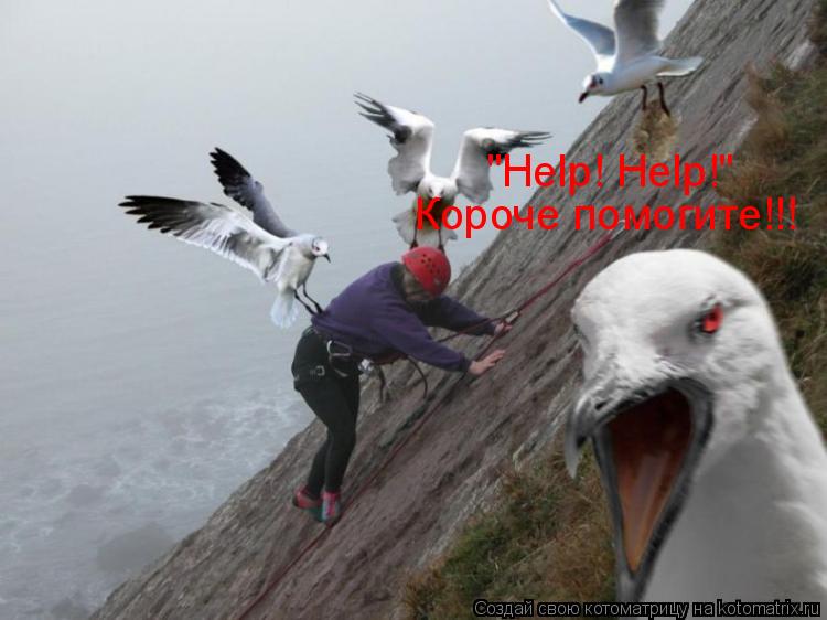 "Help! Help!" Короче помогите!!!... Котоматрица: "Help! Help!" Короче помогите!!!