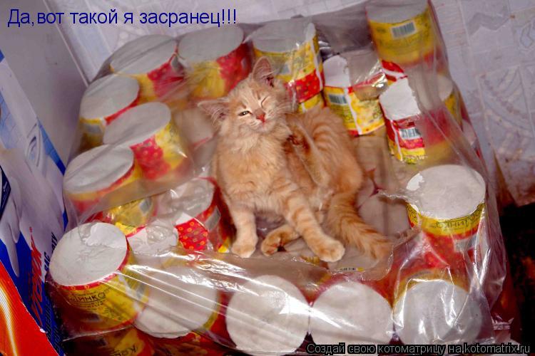 Да,вот такой я засранец!!!... Котоматрица: Да,вот такой я засранец!!!