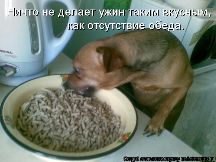 Ничто не делает ужин таким вкусным, как отсутствие обеда.... Котоматрица: Ничто не делает ужин таким вкусным, как отсутствие обеда.