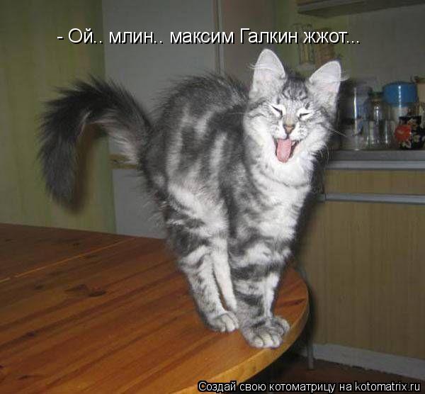 - Ой.. млин.. максим Галкин жжот...... Котоматрица: - Ой.. млин.. максим Галкин жжот...
