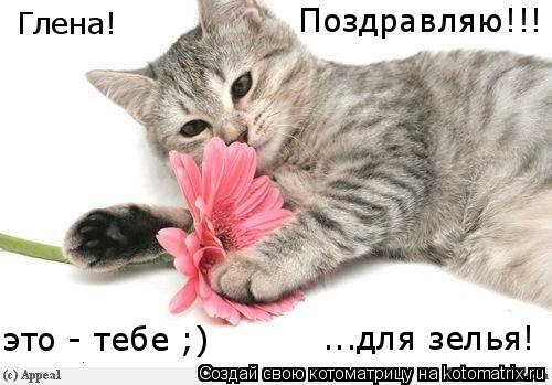 Глена! это - тебе ;) ...для зелья! Поздравляю!!!... Котоматрица: Глена! это - тебе ;) ...для зелья! Поздравляю!!!