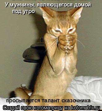 Котоматрица: У мужчины, являющегося домой под утро просыпается талант сказочника