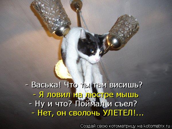 - Васька! Что ты там висишь? - Я ловил на люстре мышь - Ну и что? Поймал и съел? - Нет, он сволочь ... Котоматрица: - Васька! Что ты там висишь? - Я ловил на люстре мышь - Ну и что? Поймал и съел? - Нет, он сволочь УЛЕТЕЛ!...