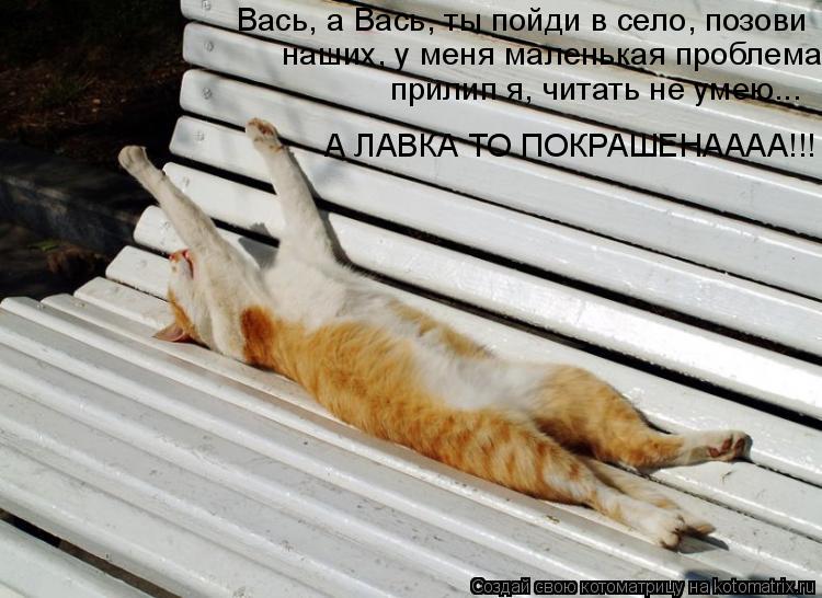 Вась, а Вась, ты пойди в село, позови наших, у меня маленькая проблема прилип я, читать не умею... А ... Котоматрица: Вась, а Вась, ты пойди в село, позови наших, у меня маленькая проблема прилип я, читать не умею... А ЛАВКА ТО ПОКРАШЕНАААА!!!