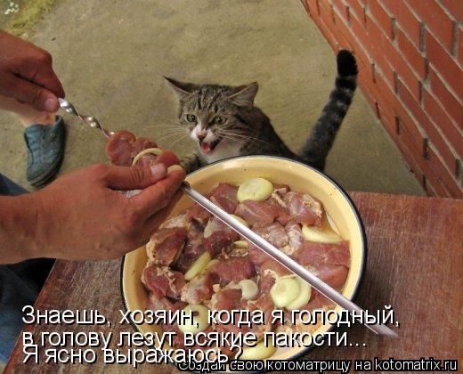 Котоматрица: Знаешь, хозяин, когда я голодный, в голову лезут всякие пакости... Я ясно выражаюсь?