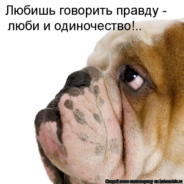 Любишь говорить правду - люби и одиночество!..... Котоматрица: Любишь говорить правду - люби и одиночество!..