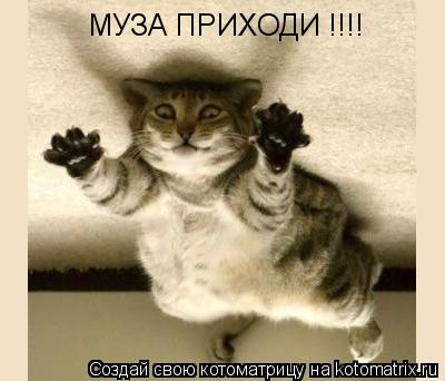 МУЗА ПРИХОДИ !!!!... Котоматрица: МУЗА ПРИХОДИ !!!!