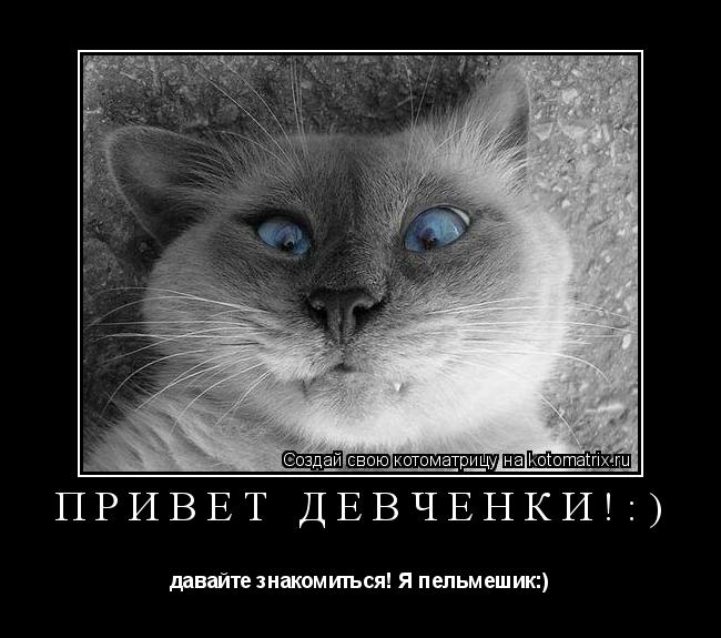 ПРИВЕТ ДЕВЧЁНКИ!:) давайте знакомиться! Я пельмешик:)... Котоматрица: ПРИВЕТ ДЕВЧЁНКИ!:) давайте знакомиться! Я пельмешик:)