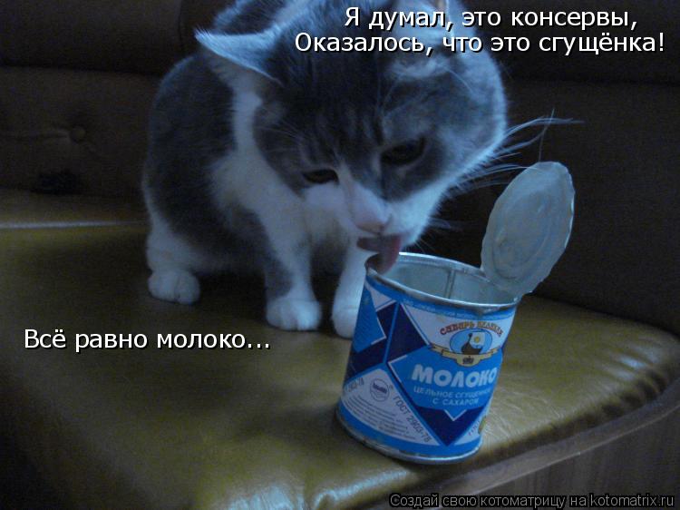 Я думал, это консервы, Оказалось, что это сгущёнка! Всё равно молоко...... Котоматрица: Я думал, это консервы, Оказалось, что это сгущёнка! Всё равно молоко...