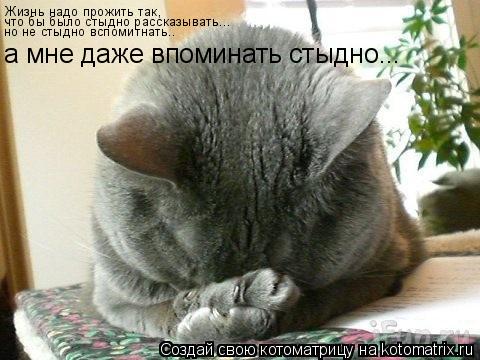 Жизнь надо прожить так, что бы было стыдно рассказывать Жизнь надо прожить так, что бы было стыдно ра... Котоматрица: Жизнь надо прожить так, что бы было стыдно рассказывать Жизнь надо прожить так, что бы было стыдно рассказывать... но не стыдно вспомитнать..