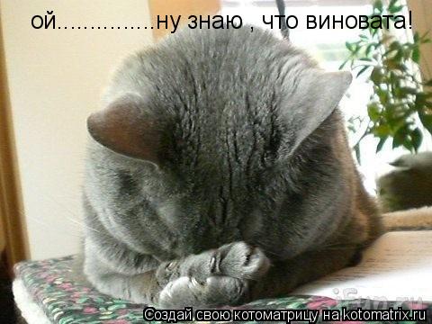 ой...............ну знаю , что виновата!... Котоматрица: ой...............ну знаю , что виновата!