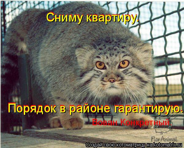 Сниму квартиру. Порядок в районе гарантирую. Вован Конкретный. Сниму квартиру. Порядок в районе гаран... Котоматрица: Сниму квартиру. Порядок в районе гарантирую. Вован Конкретный. Сниму квартиру. Порядок в районе гарантирую.