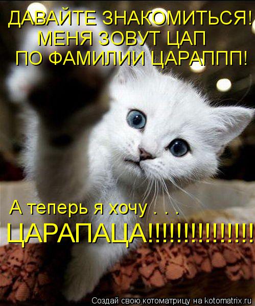 ДАВАЙТЕ ЗНАКОМИТЬСЯ! МЕНЯ ЗОВУТ ЦАП МЕНЯ ЗОВУТ ЦАП ПО ФАМИЛИИ ЦАРАППП! А теперь я хочу . . . ЦАРАПАЦ... Котоматрица: ДАВАЙТЕ ЗНАКОМИТЬСЯ! МЕНЯ ЗОВУТ ЦАП МЕНЯ ЗОВУТ ЦАП ПО ФАМИЛИИ ЦАРАППП! А теперь я хочу . . . ЦАРАПАЦА!!!!!!!!!!!!!!!!
