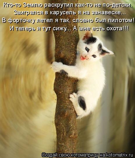 Кто-то Землю раскрутил как-то не по-детски. Заигрался в карусель я на занавеске... В форточку летел ... Котоматрица: Кто-то Землю раскрутил как-то не по-детски. Заигрался в карусель я на занавеске... В форточку летел я так, словно был пилотом! И теперь я тут с