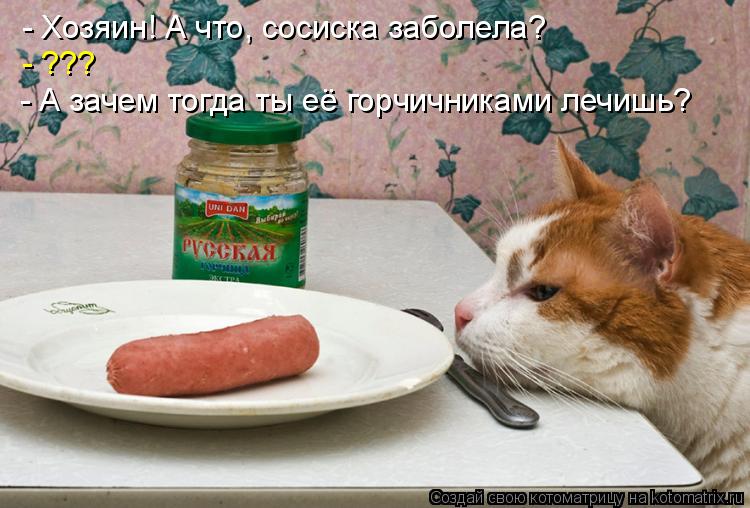 - Хозяин! А что, сосиска заболела? - ??? - А зачем тогда ты её горчичниками лечишь?... Котоматрица: - Хозяин! А что, сосиска заболела? - ??? - А зачем тогда ты её горчичниками лечишь?