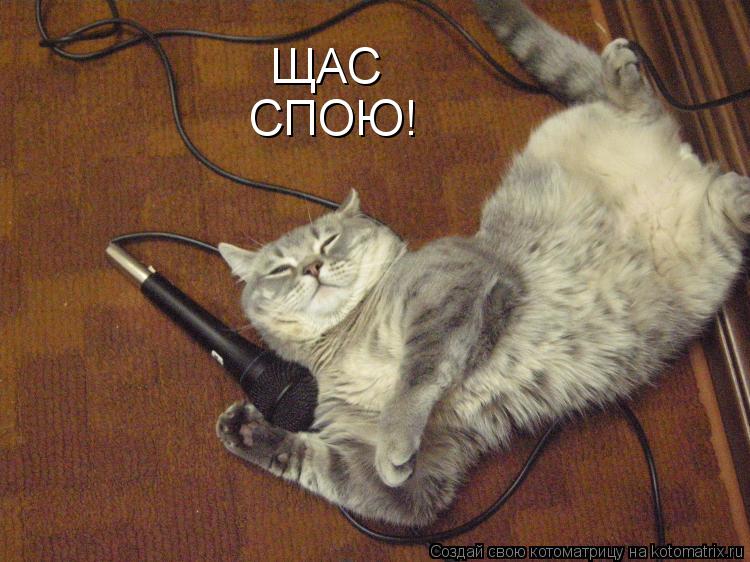 ЩАС СПОЮ!... Котоматрица: ЩАС СПОЮ!