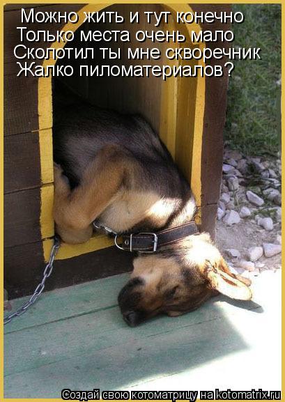 Можно жить и тут конечно Только места очень мало Сколотил ты мне скворечник Жалко пиломатериалов?... Котоматрица: Можно жить и тут конечно Только места очень мало Сколотил ты мне скворечник Жалко пиломатериалов?