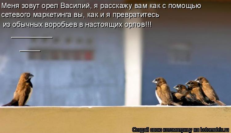 сетевого маркетинга вы, как и я превратитесь __________ _____ Меня зовут орел Василий, я расскажу ва... Котоматрица: сетевого маркетинга вы, как и я превратитесь __________ _____ Меня зовут орел Василий, я расскажу вам как с помощью из обычных воробьев в настоящи