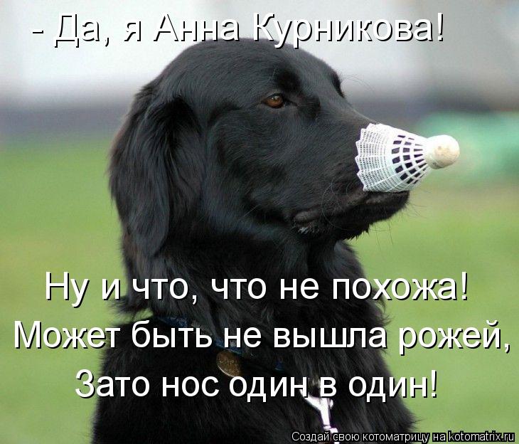 - Да, я Анна Курникова! Ну и что, что не похожа! Может быть не вышла рожей, Зато нос один в один!... Котоматрица: - Да, я Анна Курникова! Ну и что, что не похожа! Может быть не вышла рожей, Зато нос один в один!