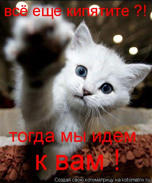 всё еще кипятите ?! тогда мы идем к вам !... Котоматрица: всё еще кипятите ?! тогда мы идем к вам !