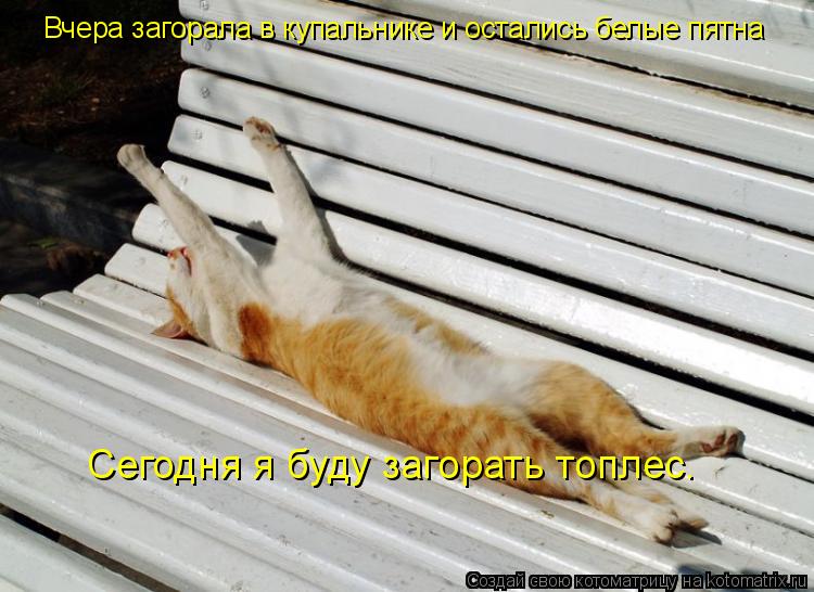 Сегодня я буду загорать топлес. Вчера загорала в купальнике и остались белые пятна... Котоматрица: Сегодня я буду загорать топлес. Вчера загорала в купальнике и остались белые пятна