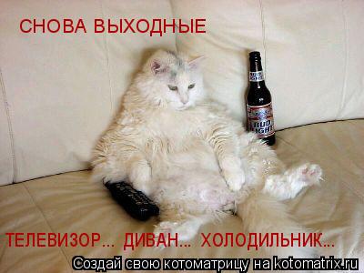 СНОВА ВЫХОДНЫЕ ТЕЛЕВИЗОР... ДИВАН... ХОЛОДИЛЬНИК...... Котоматрица: СНОВА ВЫХОДНЫЕ ТЕЛЕВИЗОР... ДИВАН... ХОЛОДИЛЬНИК...