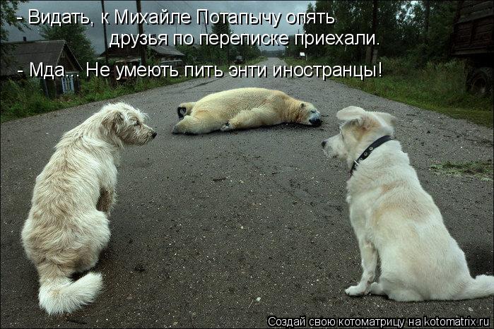- Видать, к Михайле Потапычу опять друзья по переписке приехали. - Мда... Не умеють пить энти иностра... Котоматрица: - Видать, к Михайле Потапычу опять друзья по переписке приехали. - Мда... Не умеють пить энти иностранцы!