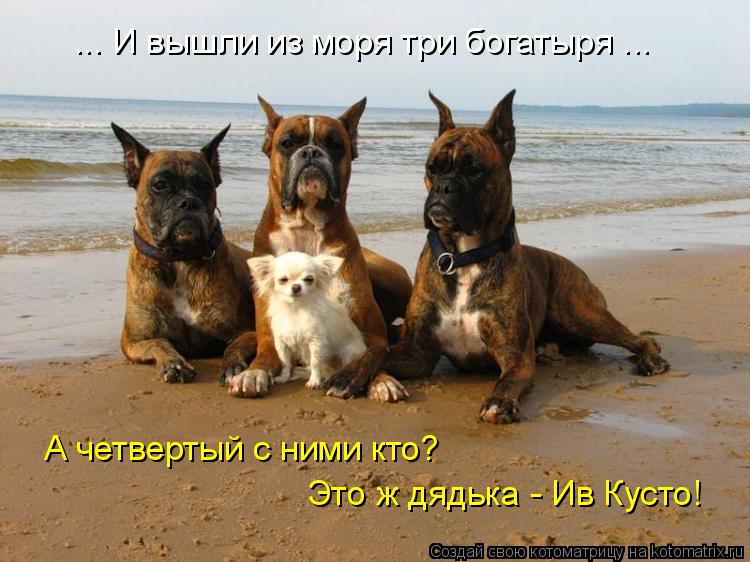 ... И вышли из моря три богатыря ... А четвертый с ними кто? Это ж дядька - Ив Кусто!... Котоматрица: ... И вышли из моря три богатыря ... А четвертый с ними кто? Это ж дядька - Ив Кусто!