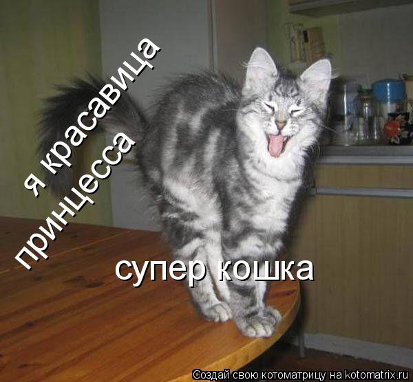 я красавица принцесса супер кошка... Котоматрица: я красавица принцесса супер кошка