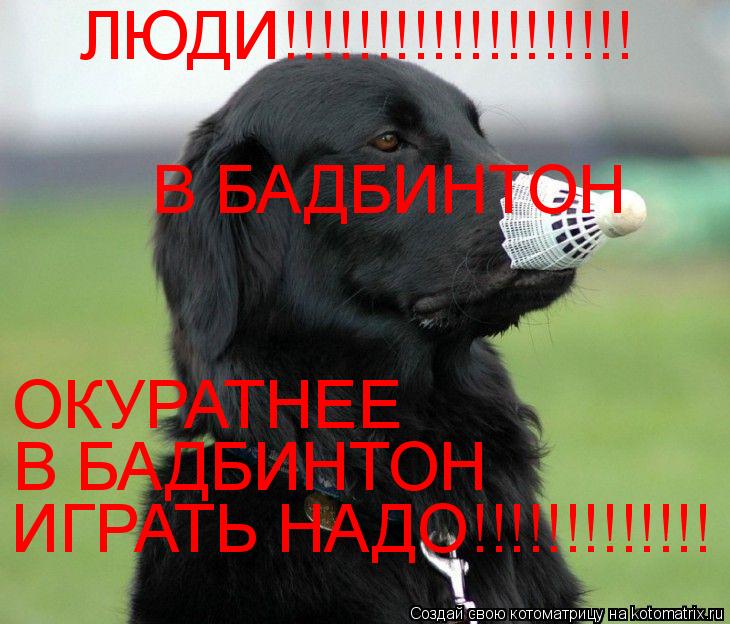 ЛЮДИ!!!!!!!!!!!!!!!!!!! ОКУРАТНЕЕ В БАДБИНТОН В БАДБИНТОН ИГРАТЬ НАДО!!!!!!!!!!!!!... Котоматрица: ЛЮДИ!!!!!!!!!!!!!!!!!!! ОКУРАТНЕЕ В БАДБИНТОН В БАДБИНТОН ИГРАТЬ НАДО!!!!!!!!!!!!!