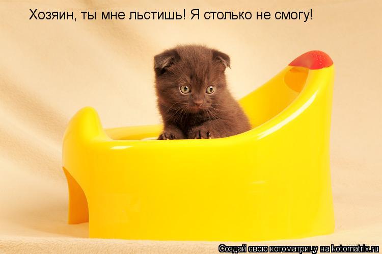 Котоматрица: Хозяин, ты мне льстишь! Я столько не смогу!
