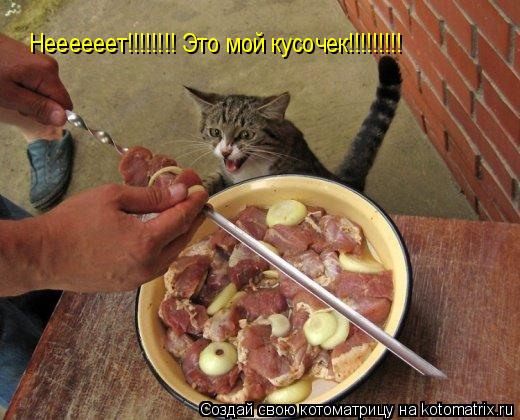 Неееееет!!!!!!!! Это мой кусочек!!!!!!!!!... Котоматрица: Неееееет!!!!!!!! Это мой кусочек!!!!!!!!!