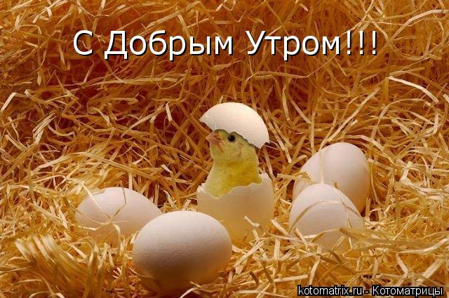Котоматрица: С Добрым Утром!!!
